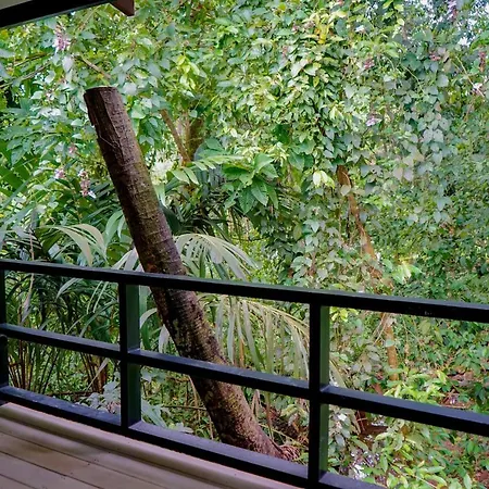 Hospedaje El Bosquecito Uvita Exterior photo