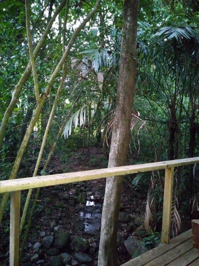 El Bosquecito Guest house *