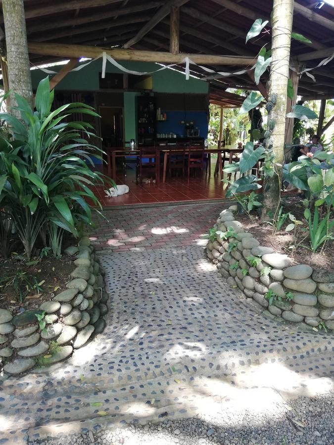 El Bosquecito Guest house