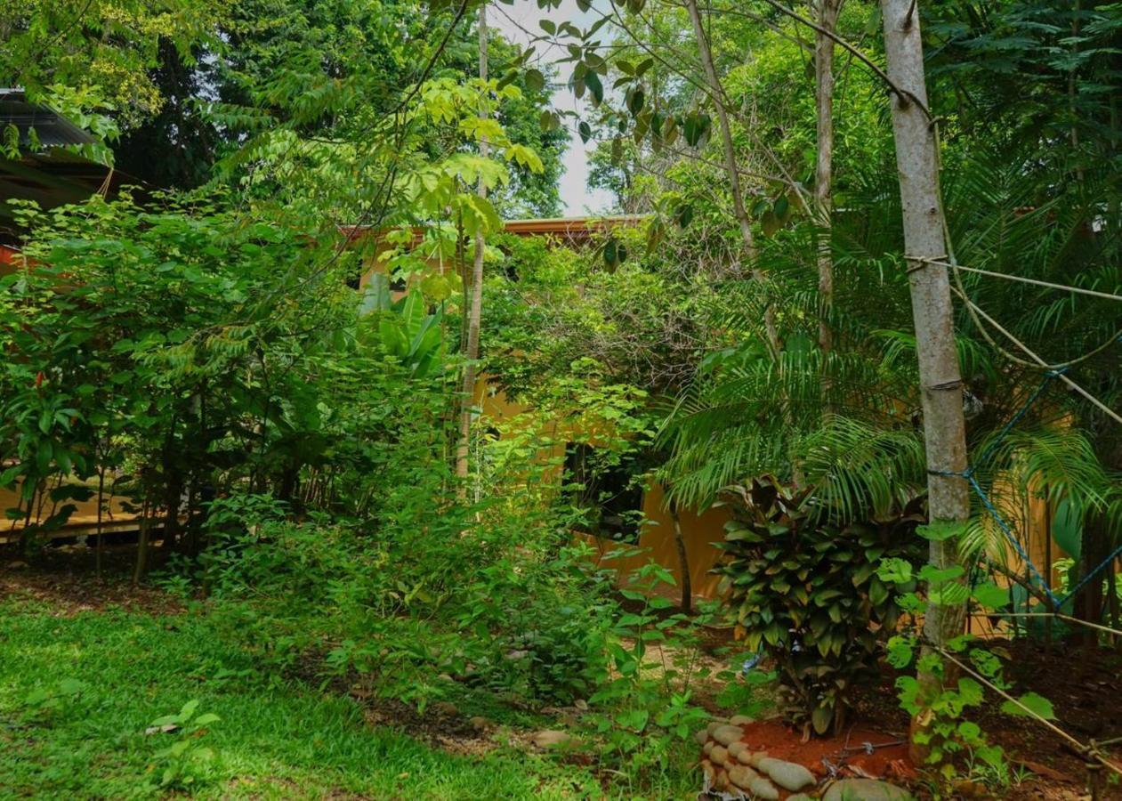 El Bosquecito Guest house