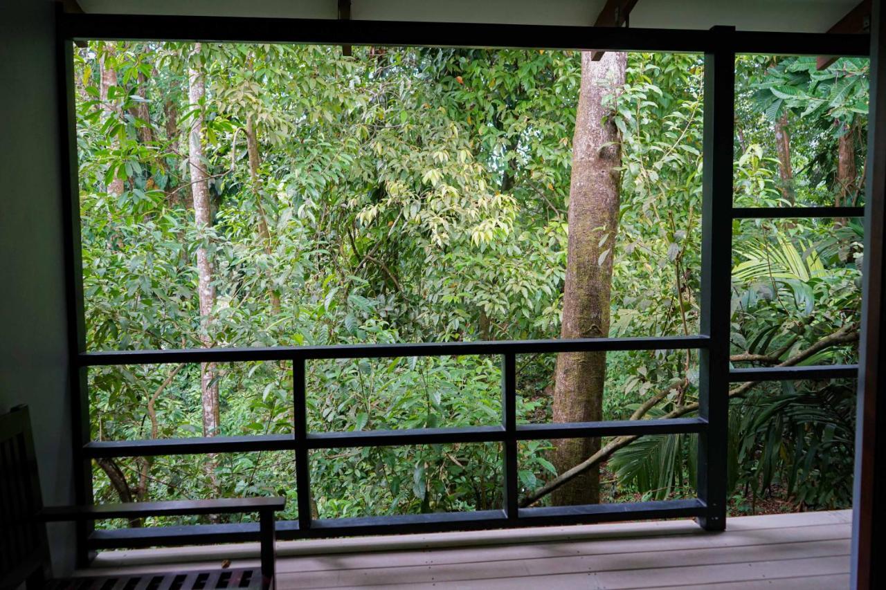 El Bosquecito Guest house